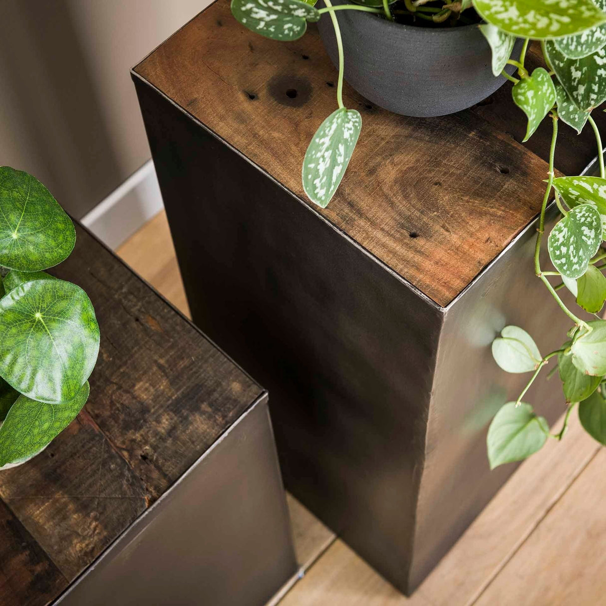 Colonna portafiori Crosby DH Interior Hardwood LxWxH 74x33x33 Hardwood Atmosferico dettaglio foto