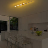 Plafondlampen - Plafondlamp Goud Metaal Hawk - Dimehouse