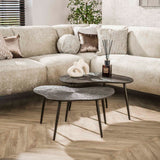 Salontafels - Salontafelset Jax Organisch Brons Donkerbruin Set van 2 - Dimehouse
