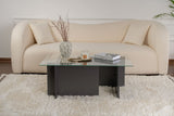 Tavolino Rettangolare Moderno Vetroni Antracite - Vetro - 105x65 cm