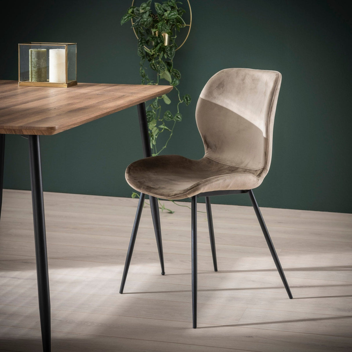 Eetkamerstoelen - Set van 4 eetkamerstoelen Argo Velours champagne - Dimehouse