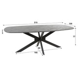 Eettafels - Eettafel Mysha Deens Ovaal Melamine 215x105 cm - Dimehouse