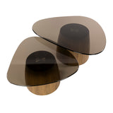 Salontafels - Set van 2 driehoekige salontafels Marea brons glas 91x71 cm - Dimehouse