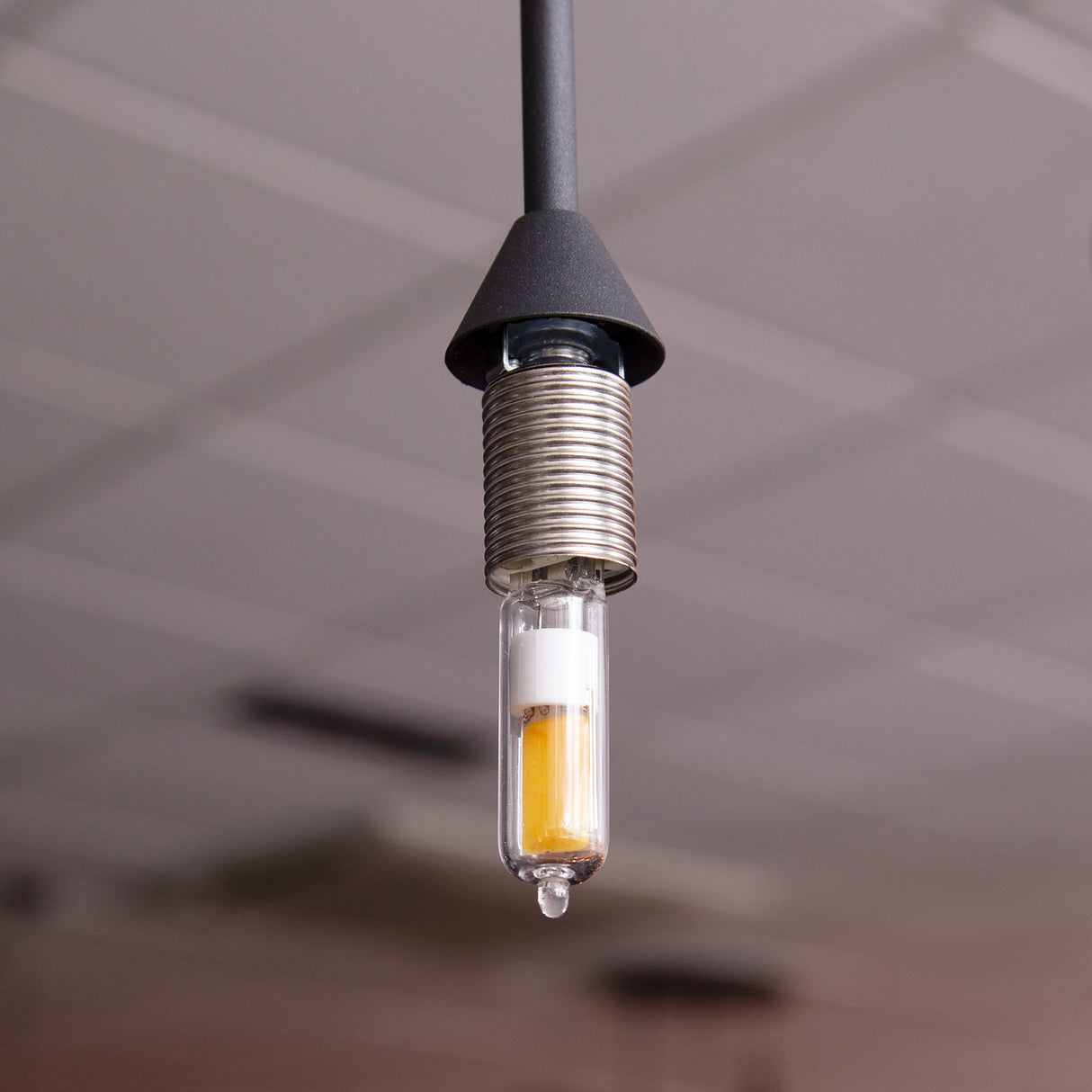 Sorgente luminosa LED G9 vetro trasparente