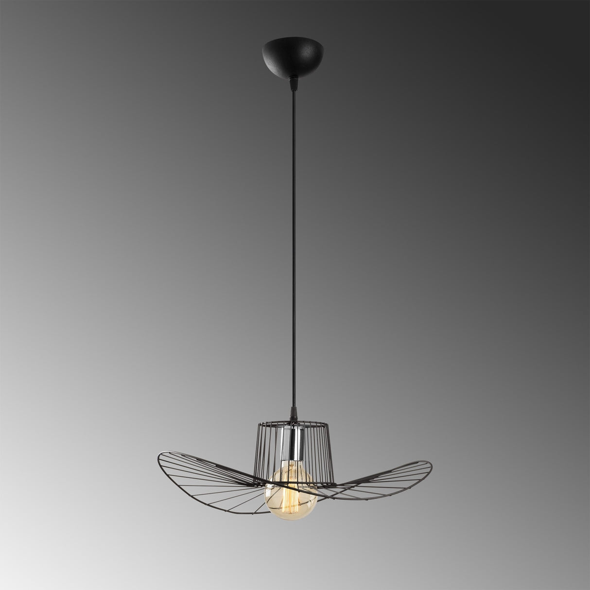 Hanglampen - Hanglamp 1 - lichts Zwart Metaal Predator - Dimehouse