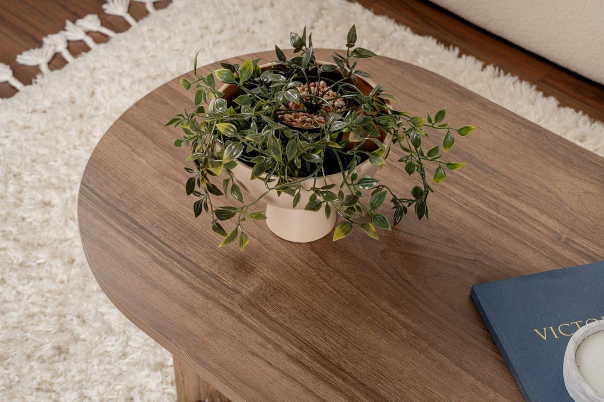 Salontafels-Ovale salontafel walnoot melamine - Japandi - 119x60 cm - Sota-Dimehouse
